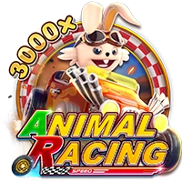 Facai : ANIMAL RACING - SNIPLAY88